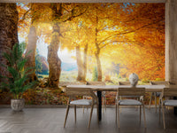 Yellow Autumn Leaves Forest wallpaper mural shown as a full feature wall that highlights the design