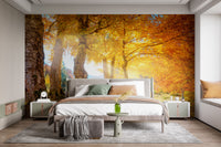 Autumn forest wallpaper mural with yellow leaves