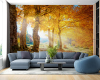 Yellow Autumn Leaves Forest wallpaper mural styled as a living room feature wall behind a sofa and seating in yellow tones