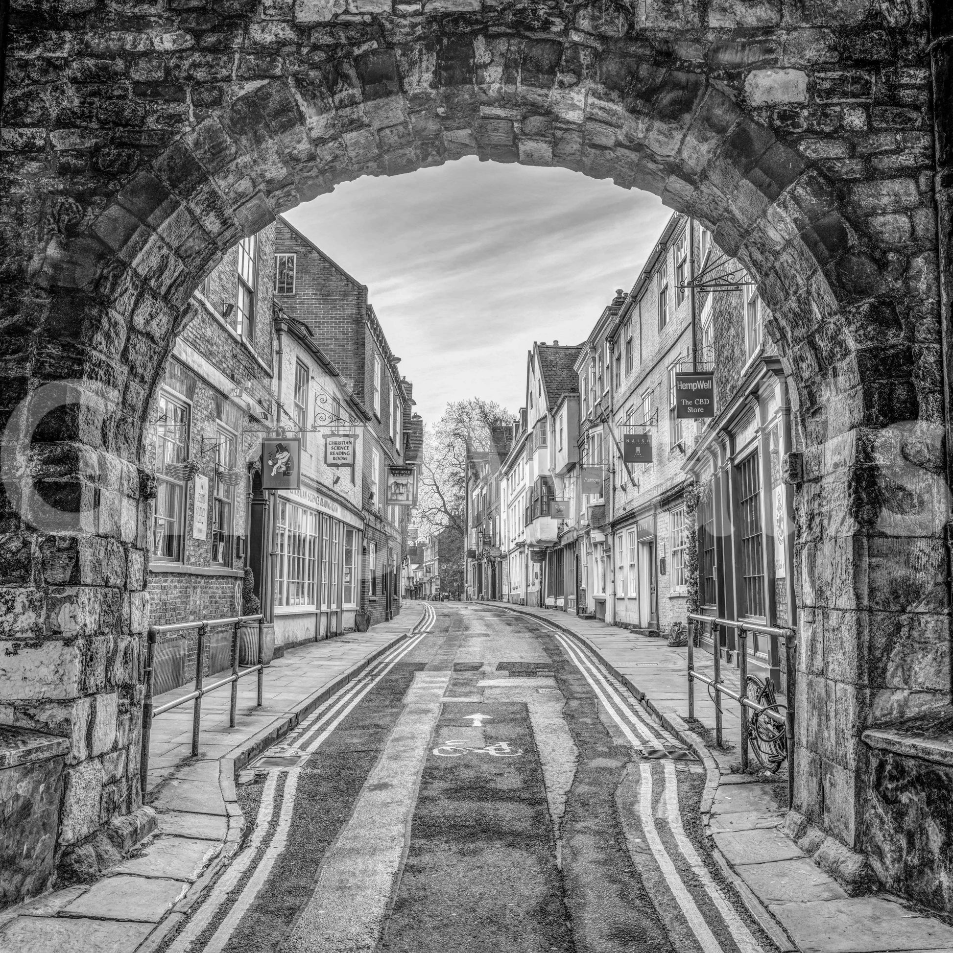 A detail of the architectural lines and tones in the design.