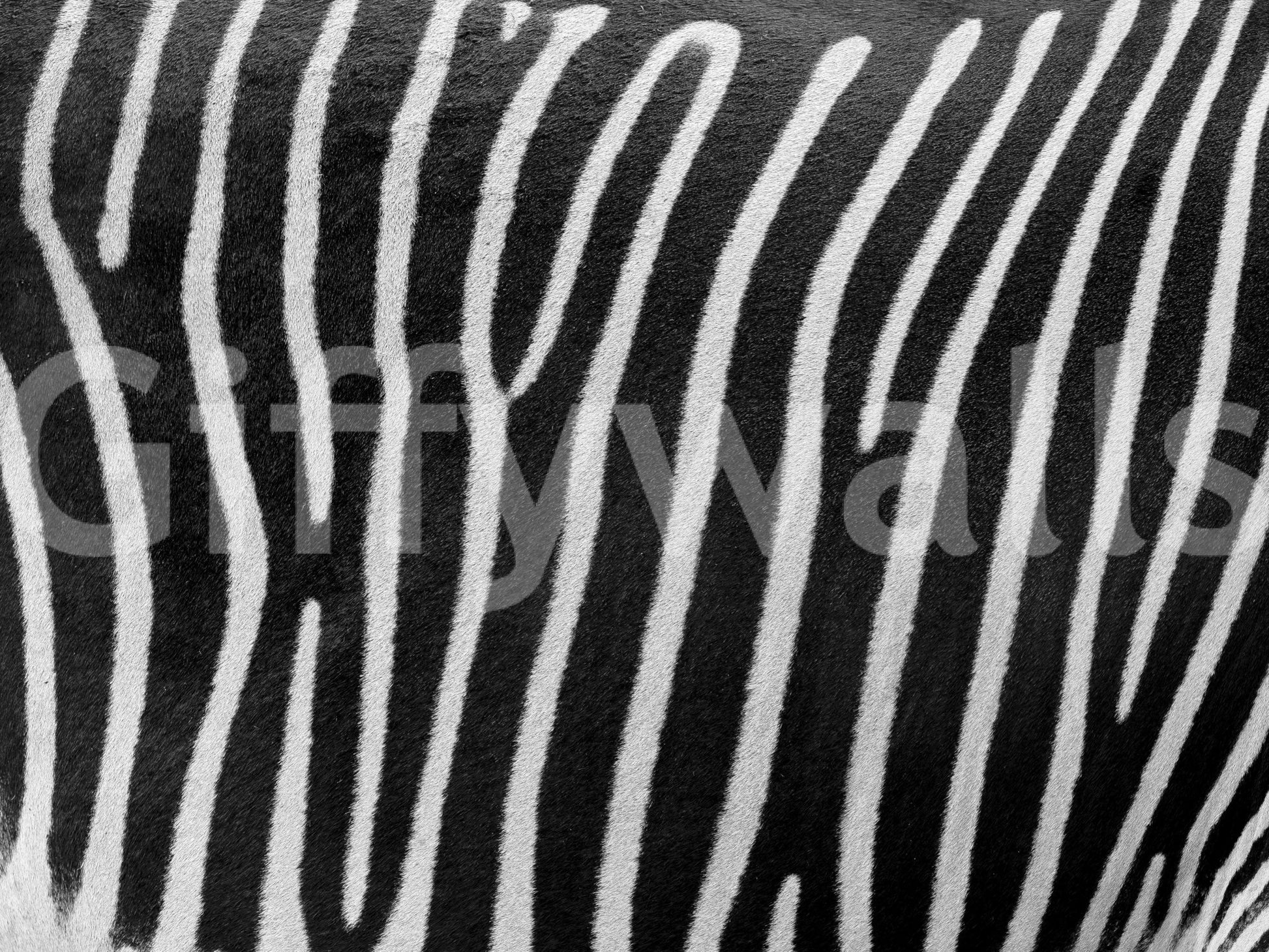 Untamed beauty aesthetic.

