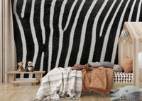 Modern graphic appeal.

