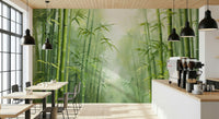 Bamboo grove wallpaper mural for bedroom, soft green background and tall bamboo