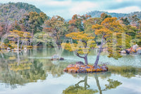 Zen Garden Serenity Wall Mural