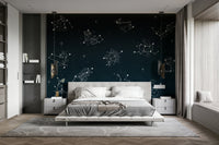 The zodiac symbols and constellations are a central focus of the image.


